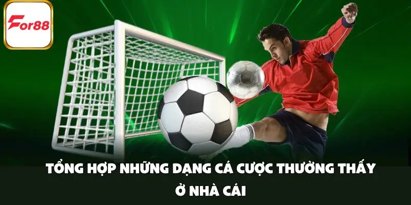 Tổng hợp những dạng cá cược thường thấy ở nhà cái